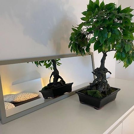 Magnifique Appartement A La Frontiere Suisse Saint-Louis  Zewnętrze zdjęcie