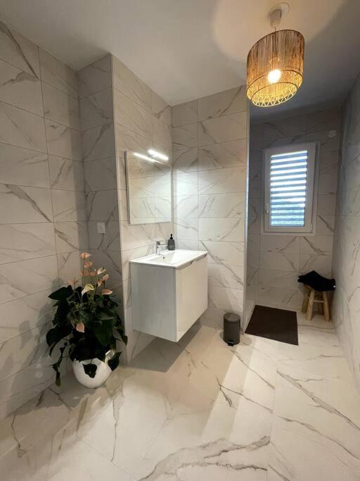 Magnifique Appartement A La Frontiere Suisse Saint-Louis  Zewnętrze zdjęcie
