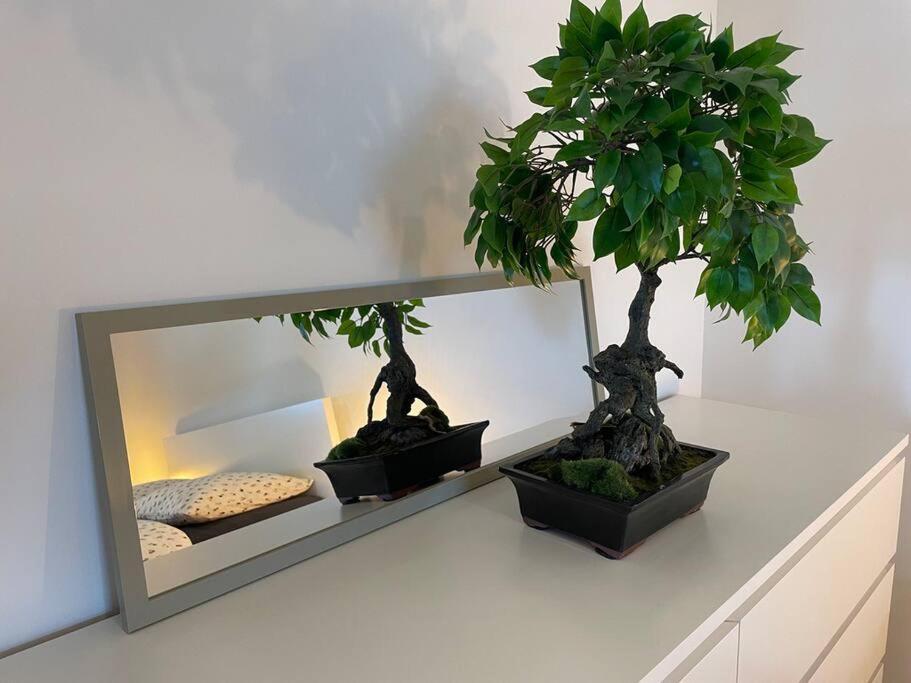 Magnifique Appartement A La Frontiere Suisse Saint-Louis  Zewnętrze zdjęcie