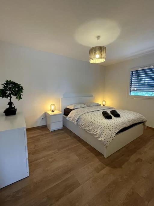 Magnifique Appartement A La Frontiere Suisse Saint-Louis  Zewnętrze zdjęcie